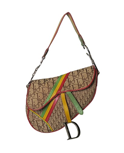 Dior 2025 rasta saddle